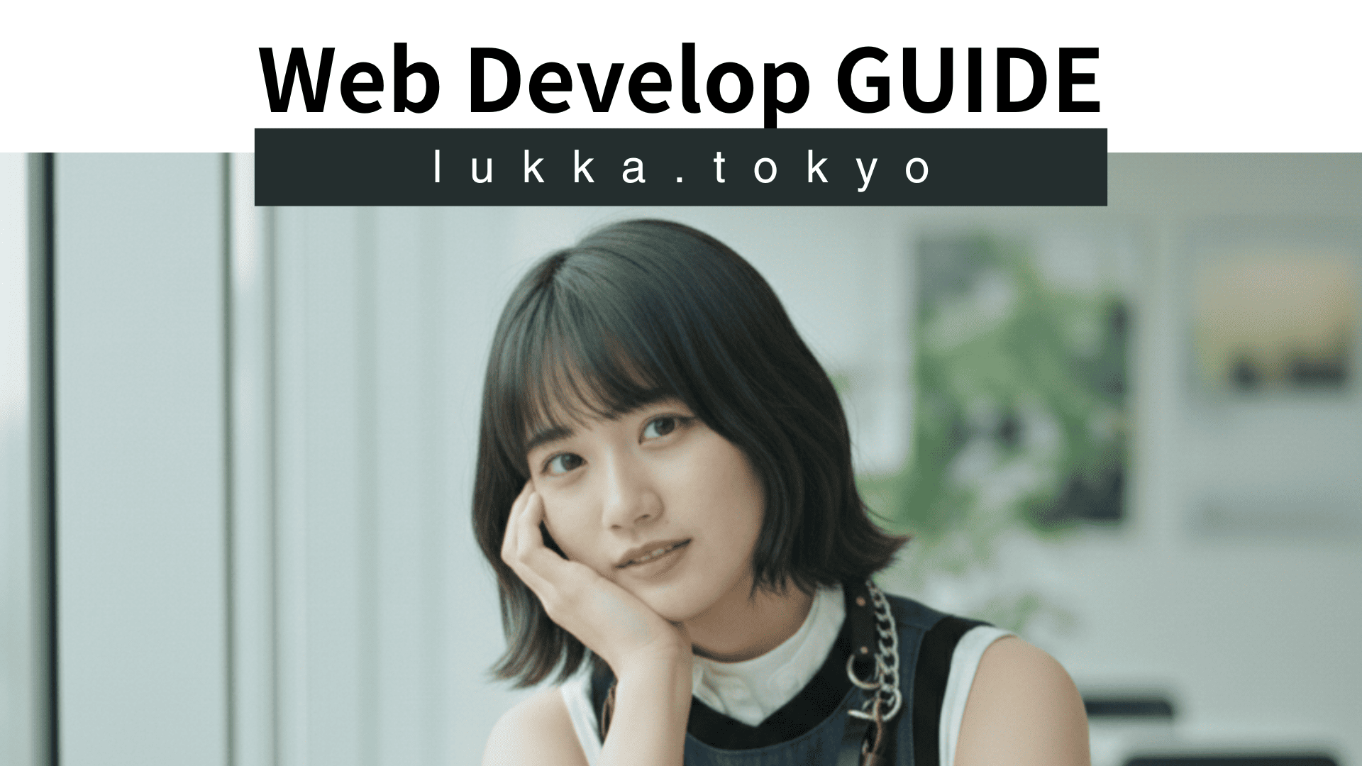 Web Develop Guide